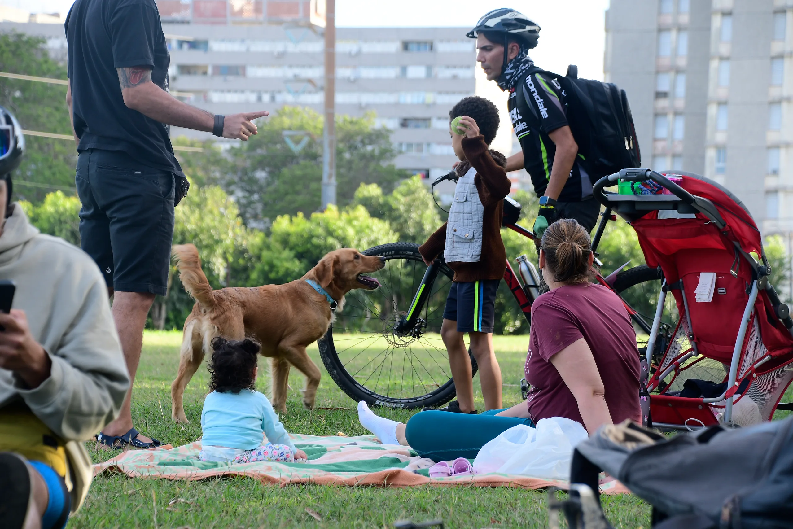 Varias personas hacen un picnic en un espacio urbano lleno d evegetación