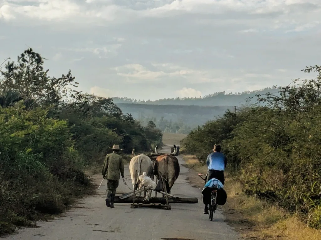 Pedaleando en la carretera
